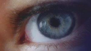 Scoperto nuovo virus marino, può infettare l'occhio umano: sintomi e come avviene il contagio