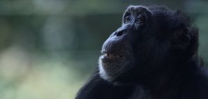 Biologist des Tages: Science