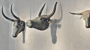 Les «catetadas» del ministeri de Cultura