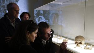 Una clase magistral en Gijón para aprender lo que cuentan los huesos sobre alimentación o hábitos: 