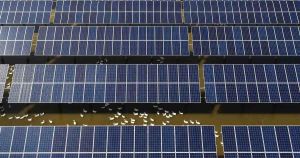 Red States Prove Lower Energy Costs Start With Expanding Domestic Supply – From All Sources