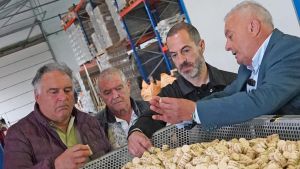 Coemastur, la empresa en la zona rural de Siero que fabrica 30 millones de corchos al año e invertirá ahora en hacer vinagre a partir de posos de sidra