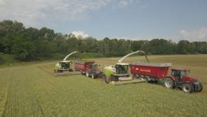 Gasolio agricolo alle stelle, è crisi nel Padovano: «Stiamo lavorando in perdita»