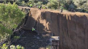 Adif acelera la tala de árboles junto a las vías para reducir los incidentes en Rodalies