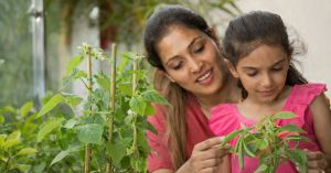 How Parents Can Use a Simple Bean Plant to Create a Fun, Hands-On Summer Learning Experience for Kids
