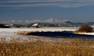 Notranjski park bo predstavil poseben kompost s Cerkniškega jezera