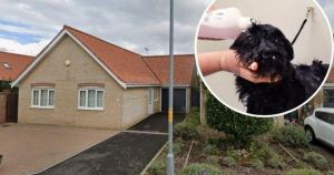 New dog grooming salon set to open from owner's garage