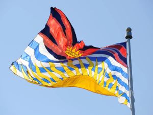 Amy Hamm: B.C. Conservatives need a leader who won't light the party on fire