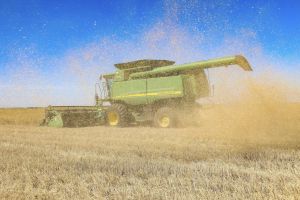 Was der Ukraine-Beitritt jetzt für Europas Landwirtschaft bedeuten würde