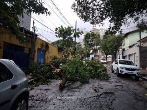 Uma cidade que alaga suporta prédios de 50 andares?