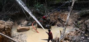 Os crimes ambientais