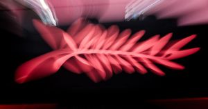 Il cinema italiano è morto da 40 anni ma incolpano Giorgia Meloni