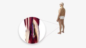 «Cher creux poplité»: Stéphane Bonvin, chroniqueur, écrit à ses organes