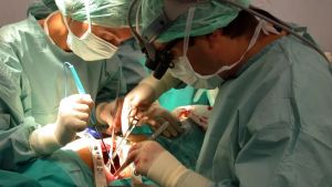 Consenso alla donazione degli organi, quanta fatica tra i giovani. L’esperto: «Pura indifferenza»