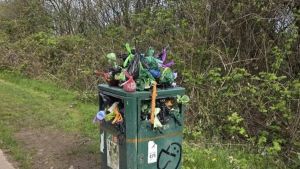 Council told 'to do better' as bin removal leads to waste pile up in city park