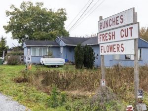 GUNTER: Poilievre calls for federal action on cloudy Indigenous land title developments