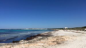 La protección de es Trenc vuelve al lado oscuro