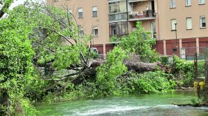 Travolto e ucciso dall’albero, faro sul Genio civile: 15 giorni fa l’allerta della Regione sulle carenze di personale