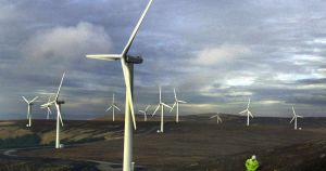 Any party that halts huge, foreign-owned 'green' power projects would get my vote