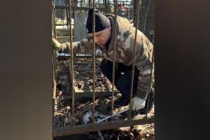 «Видел на могилах странное»: не оставлять на кладбище пасхальные яйца призвал уборщик захоронений