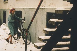 Het meisje met het rode haar