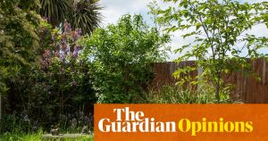 A messy garden is a glorious garden. We need to stop tidying, titivating and paving them over