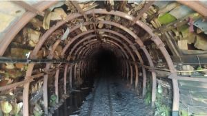 La FSA insiste en acusar al PP de querer sacar 