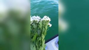 Un mazzo di margherite in mare per Pietro, travolto e ucciso dall'albero. L'istruttore di pesca: 