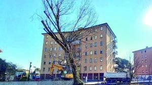 Travolto e ucciso dall’albero: quattro le segnalazioni di pericolo rimaste senza risposta