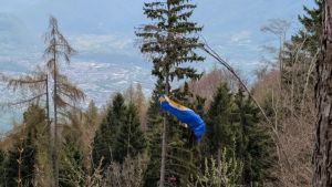 Pedavena, pilota di parapendio bloccata sull’albero