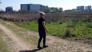 San Donato, addio stadio: spunta il palazzetto. Il rilancio dell’area San Francesco con un impianto per il basket di Serie A