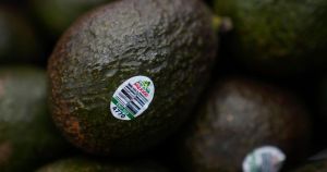 My View: Shoplifting is not for the faint of heart