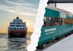 Derfor er cruiseskatten så dum