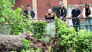 Travolto e ucciso dal pioppo, l’esperto: «Gli alberi vanno censiti e valutati di continuo»