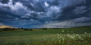 How hidden soil fungi ‘steal’ bacterial DNA to control the rain