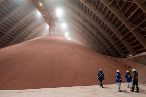 How Canada can protect its food system in an increasingly uncertain world