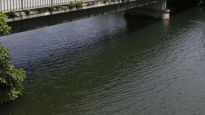 La recuperación del río Nalón en Lada, encauzada: el Principado prevé iniciar las obras del esperado proyecto (que cuesta ocho millones) en junio