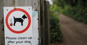 Dogs to be kept on leads in town centre following reports of pets 'running loose'