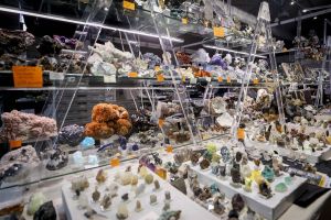 Pau : la 37e édition du salon des minéraux et fossiles organisée ce week-end au Parc des expositions