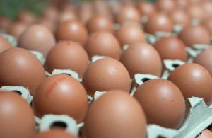 Eier in Berlin seit Wochen knapp: Jetzt reagieren Händler und Behörden