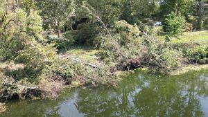 «Al Parco serve aiutotutti si impegninosenza strumentalizzare»