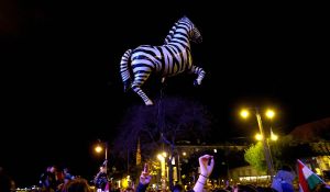 De har fått nok. Det er gode nyheter for oss