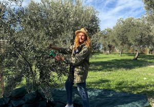 Gece hasadı kaliteli midir yoksa bir marketing midir?