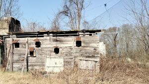 Tiro a volo a Strambino, la giunta rilancia dopo il primo bando deserto