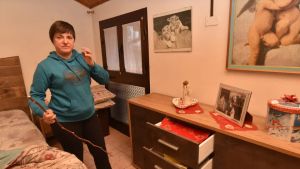 Pestano i cani e assaltano la villetta: la proprietaria colta da malore