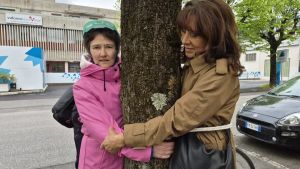 Tigli di via Feltre, nessuna perizia sullo stato di salute