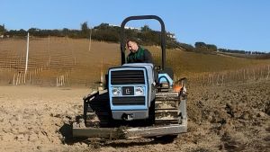 Chef e contadino, la rivoluzione a chilometro 0 di Aldo Santoro: vino, grano e olio bio