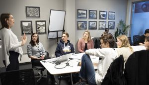 Hva vil vi egentlig med ungdomsrådene?