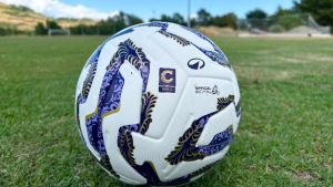 Calcio, Serie C: Ternana verso il fallimento – Cosa può cambiare per Livorno, Pontedera e Arezzo