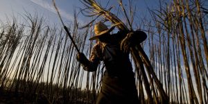 The Hormuz Crisis and the Fate of the Global South